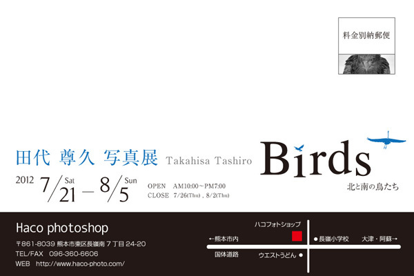 birdsDM2.jpg